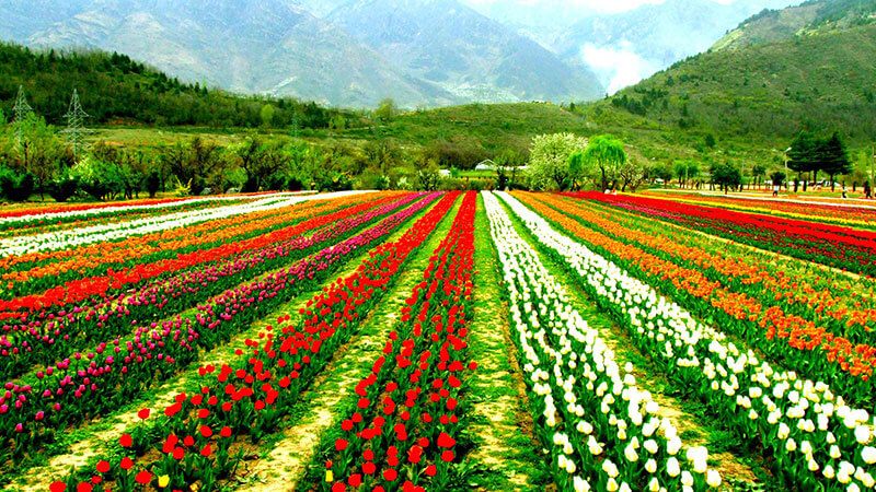 Best of Kashmir